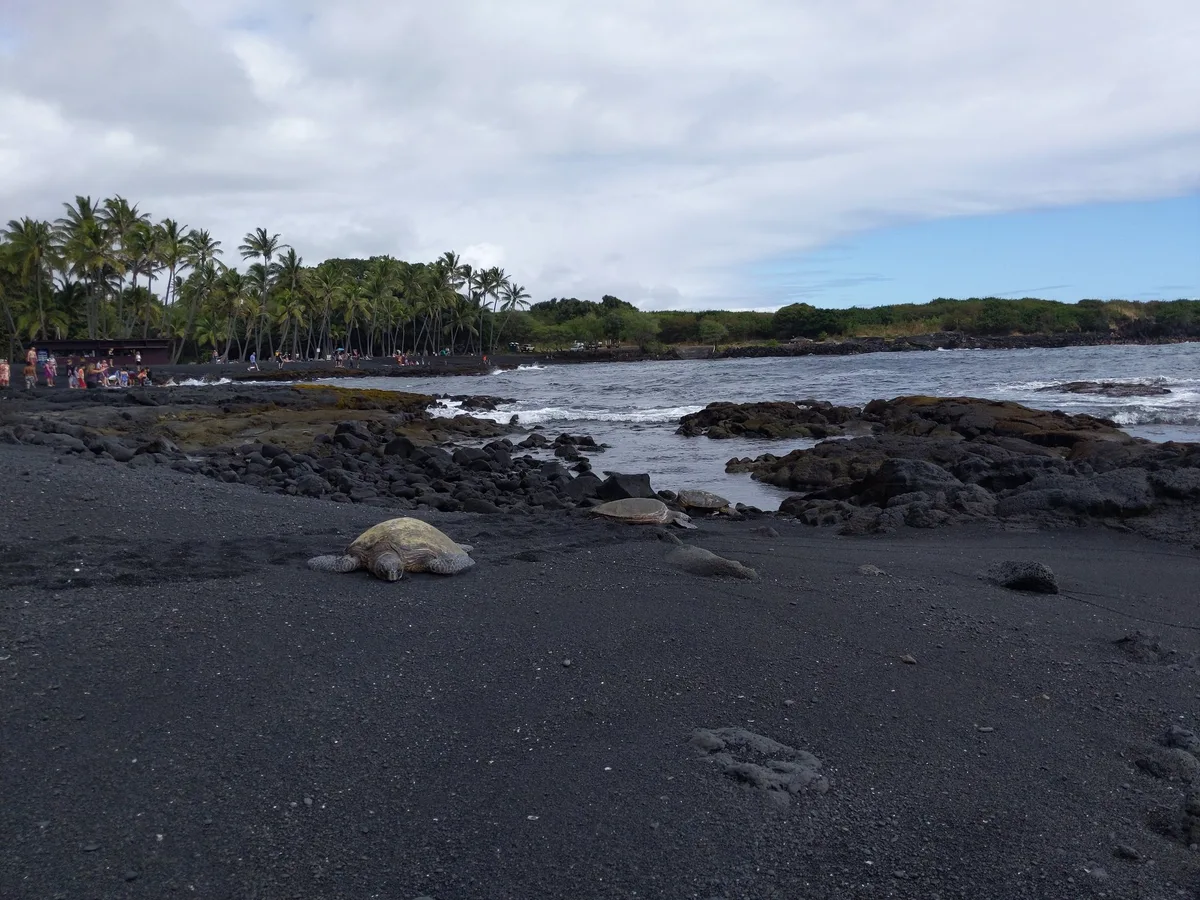 Playa de Punalu'u Black Sand, Ka'u, Hawaii, Estados Unidos — 4