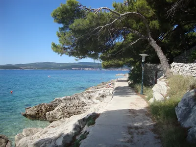 Plage de Bačva