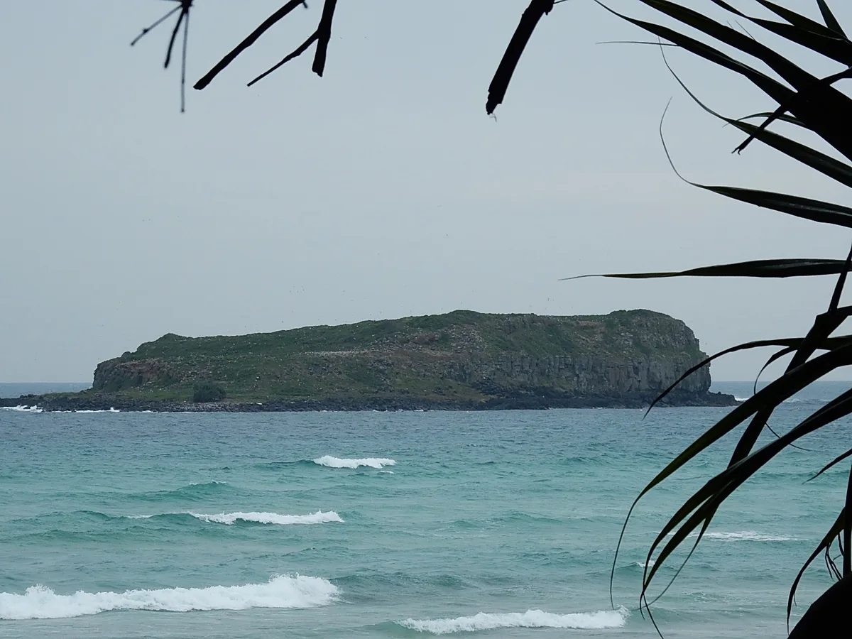 Plage de Fingal Head, Fingal Head, Australian East Coast, Australie — 3