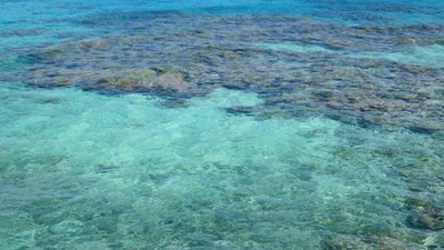 Playa Coral