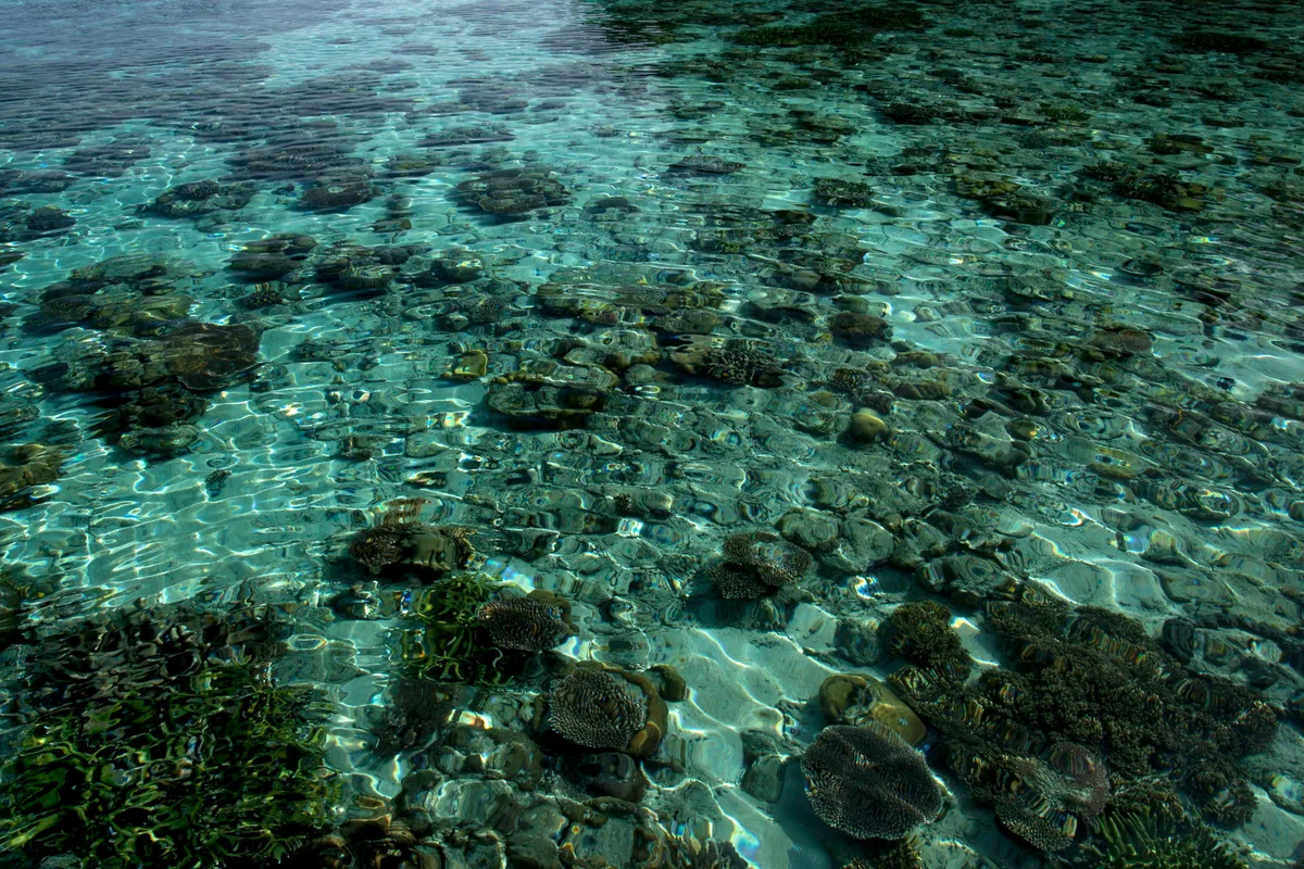 Plage de Coral, Matanzas, Greater Antilles, Cuba — 2