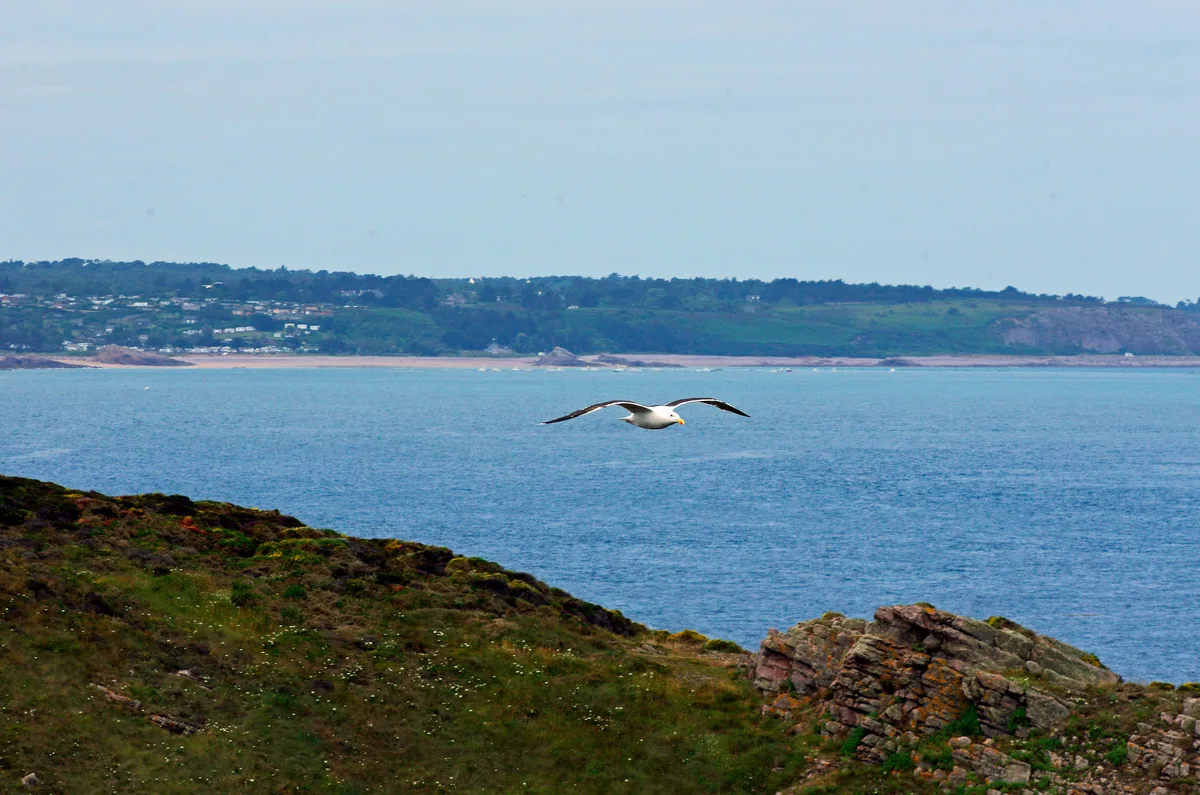 Fosse Eyrand-Strand, Fréhel, Brittany, Frankreich — 3