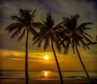 Laurel Island Beach