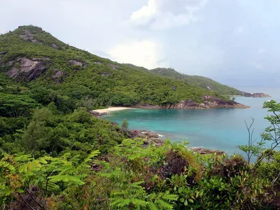 Anse Major Beach, Bel Ombre, Seychelles Inner Islands, Seychelles — 5