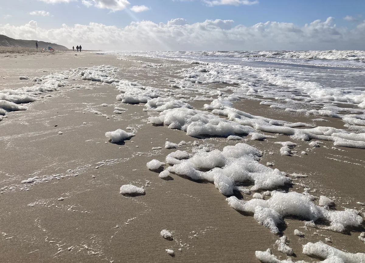 Strand Paal 9, Texel, North Holland, Nederland — 3