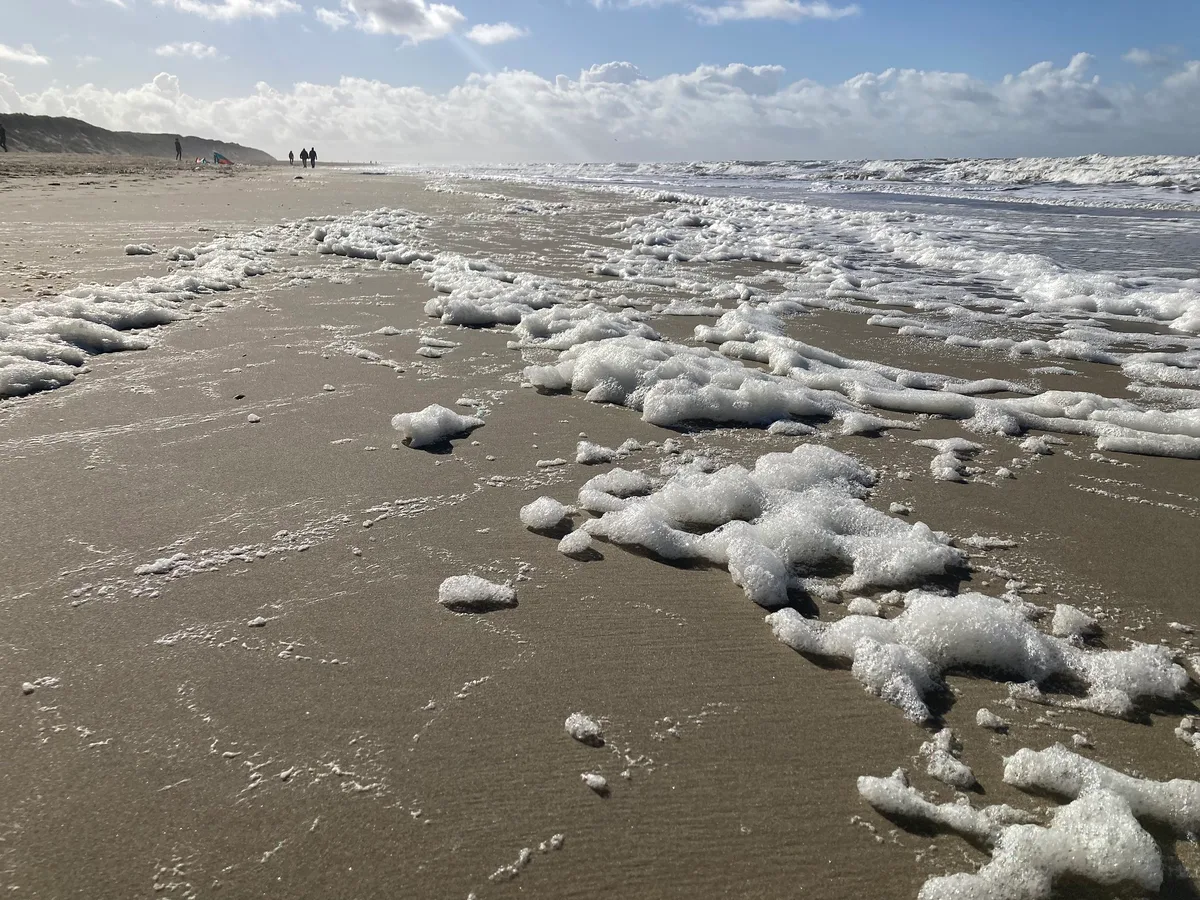 Strand Paal 9, Texel, North Holland, Nederland — 2