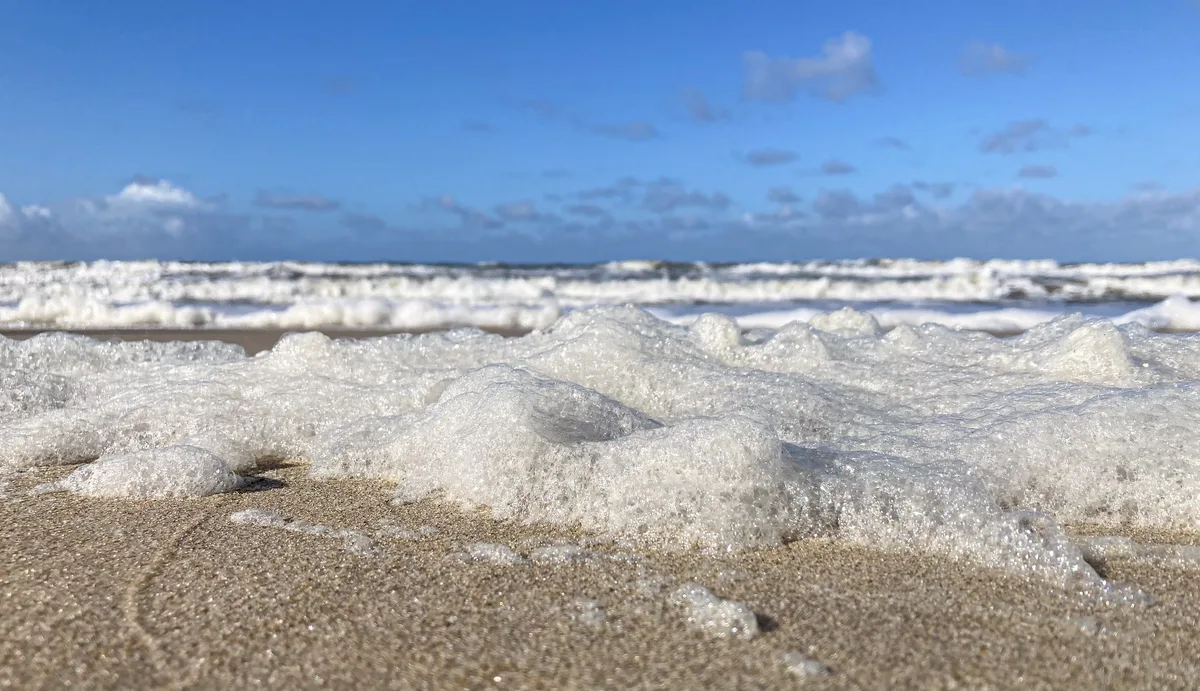 Strand Paal 9, Texel, North Holland, Nederland — 4