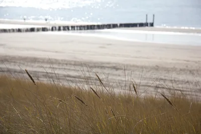 Strand Dishoek, Veere, Zeeland, Nederland — 2