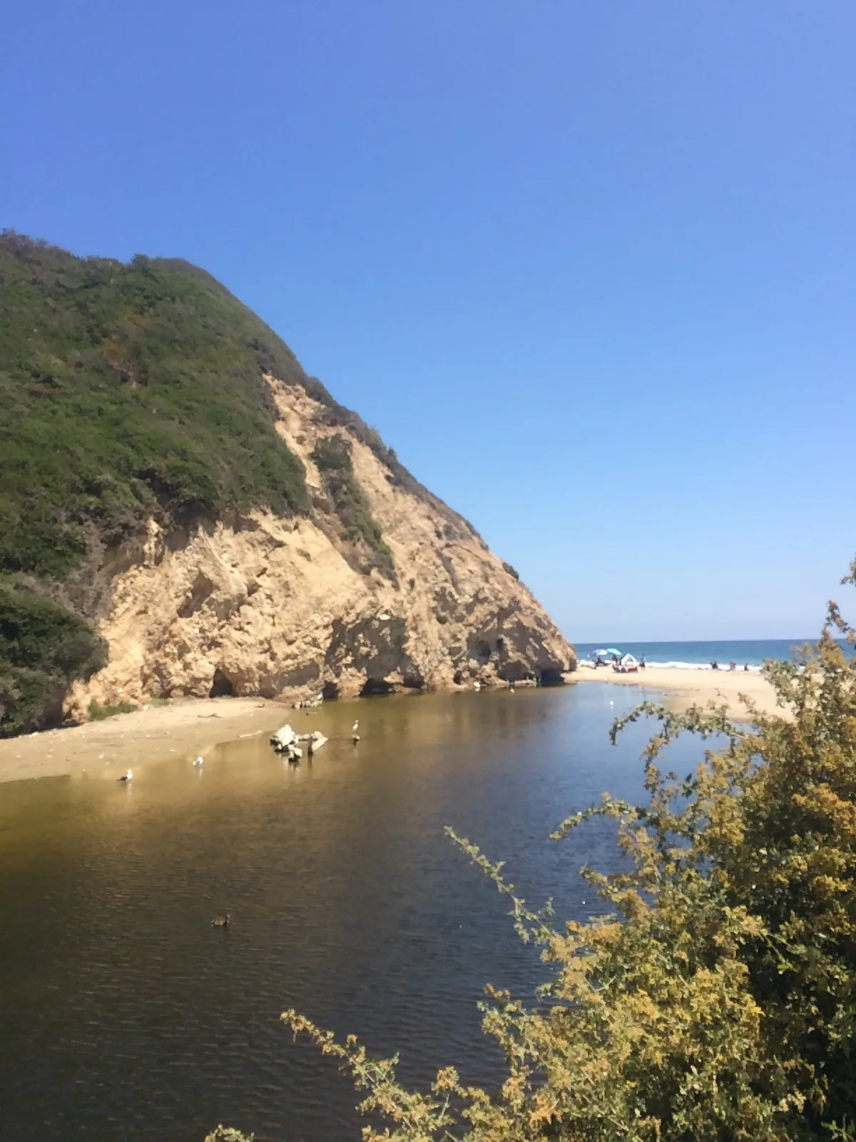 Plage d'Arroyo Burro, Santa Barbara, California Coast, États-Unis — 5