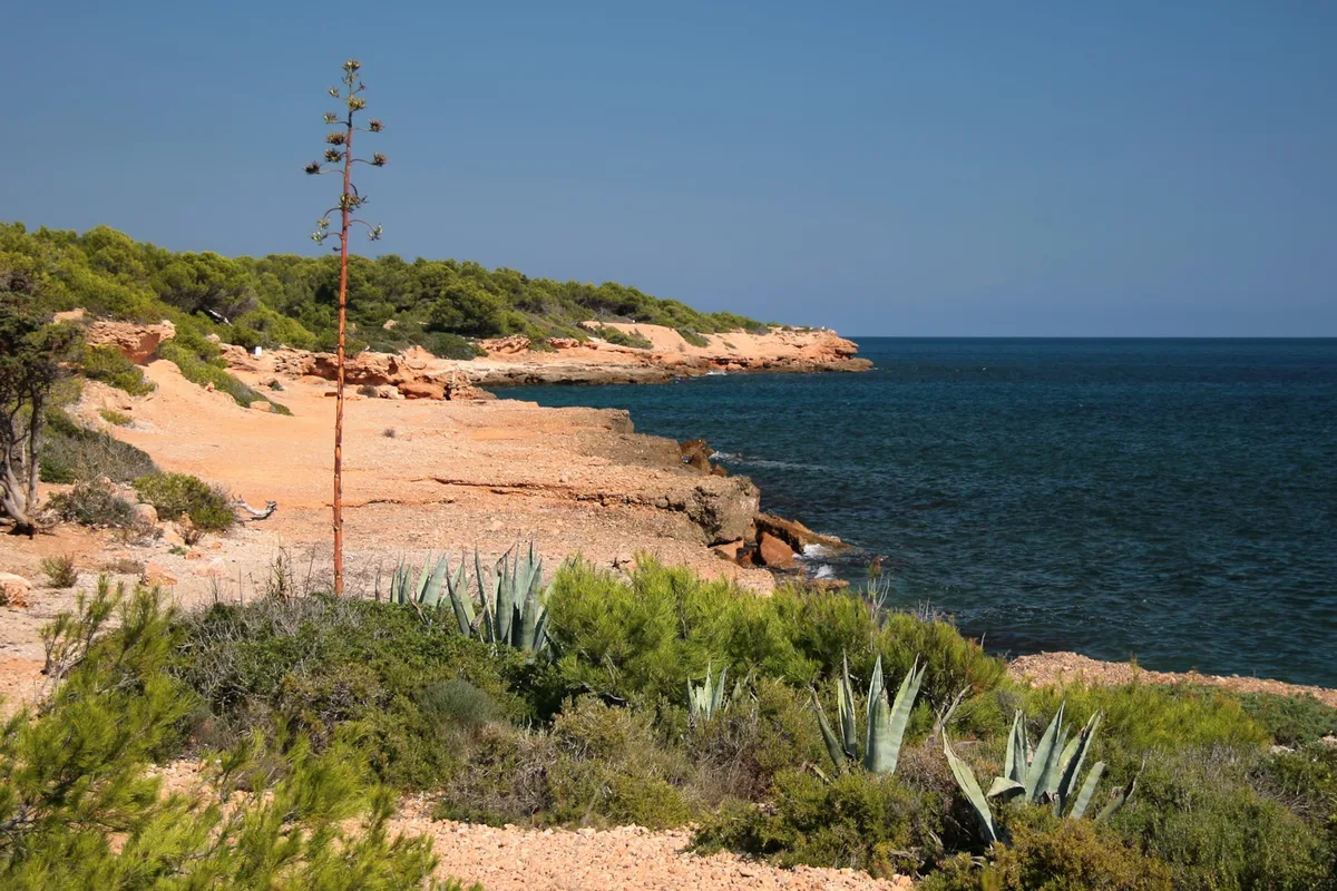 Cala Port Olivet-Strand, L'Ametlla de Mar, Catalonia, Spanien