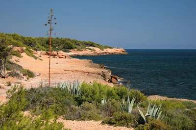 Cala Port Olivet