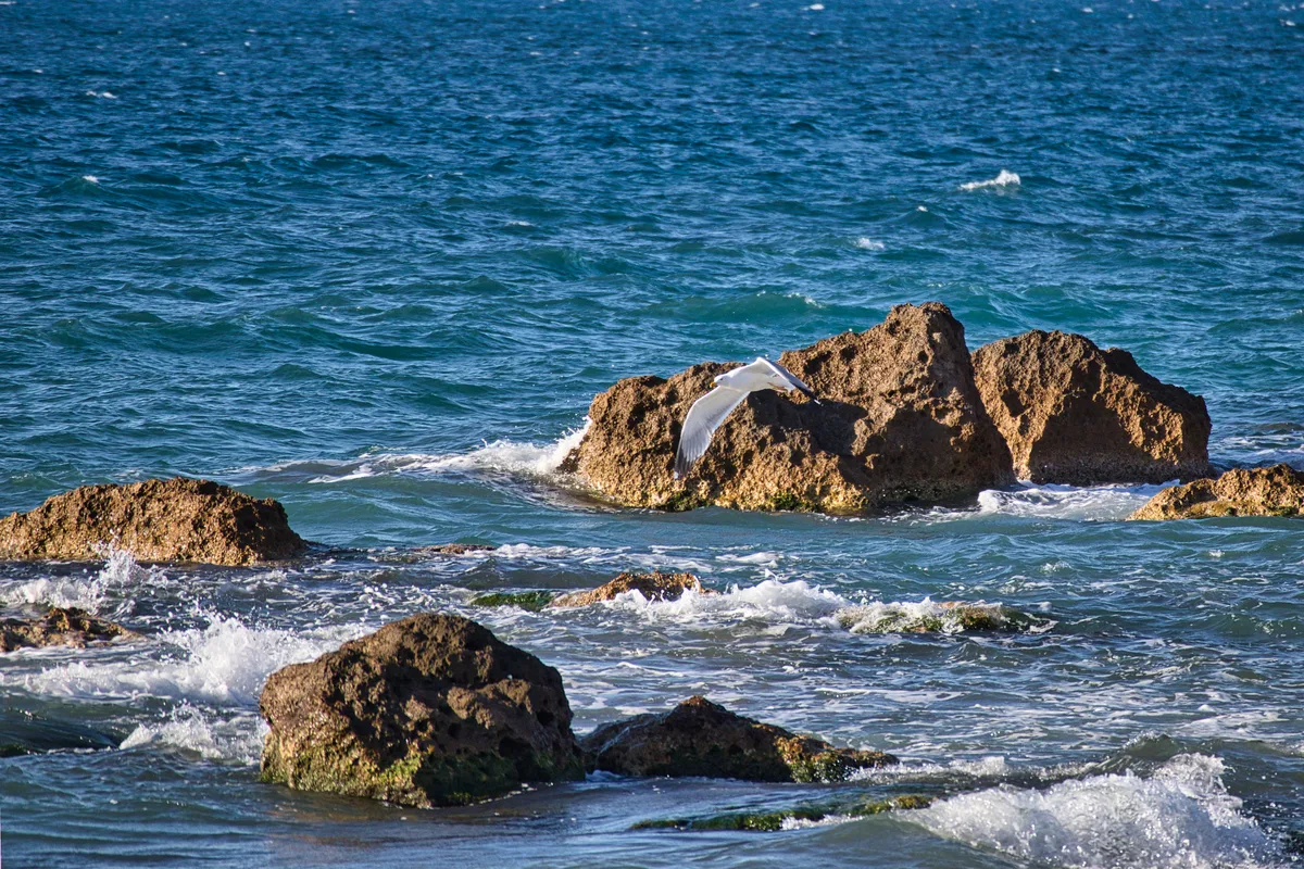 Plage de Kladissos, Municipality of Chania, Crete, Grèce — 2