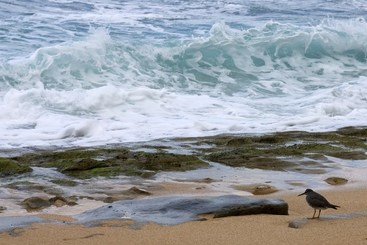 Plage de Wainiha, Wainiha, Hawaii, États-Unis — 2