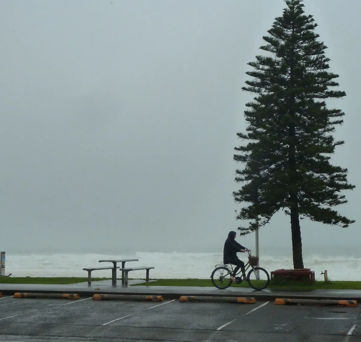 Manly Beach, Northern Beaches Council, New South Wales, Australie — 5