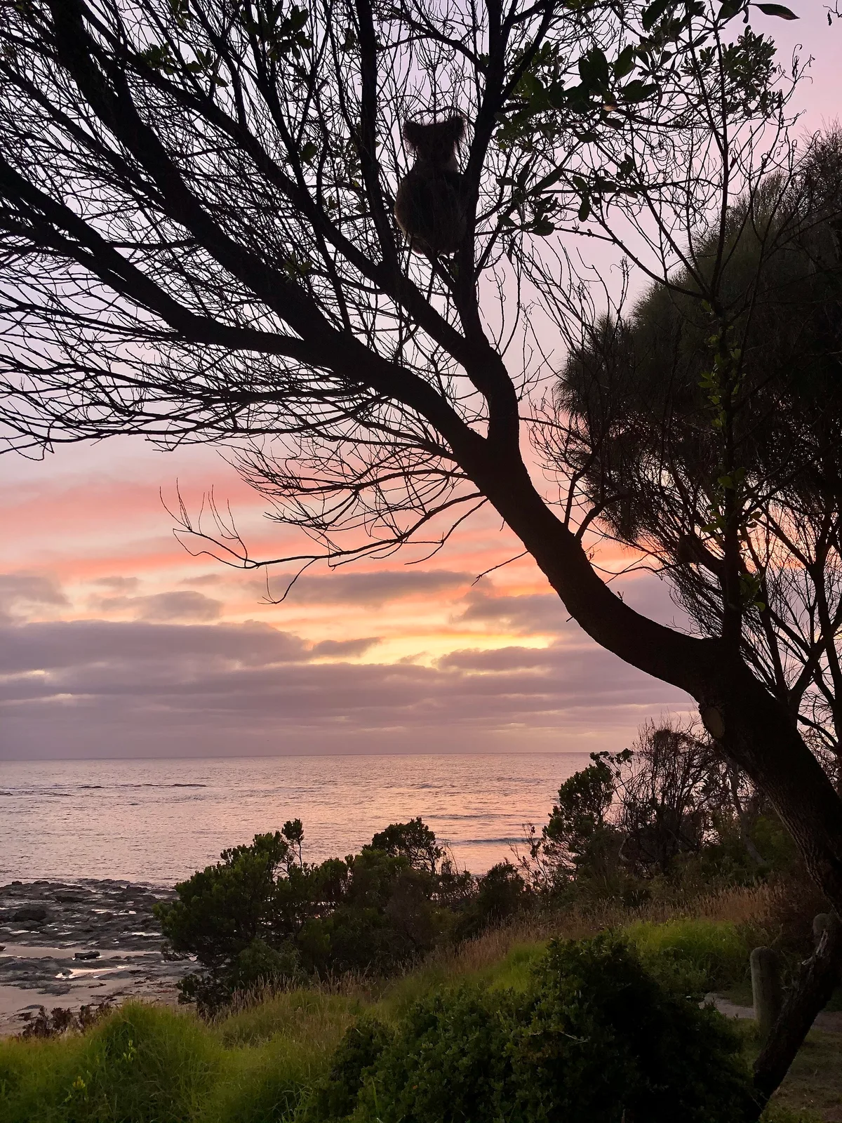 Plage de Blanket Bay, Cape Otway, Great Ocean Road, Australie — 5