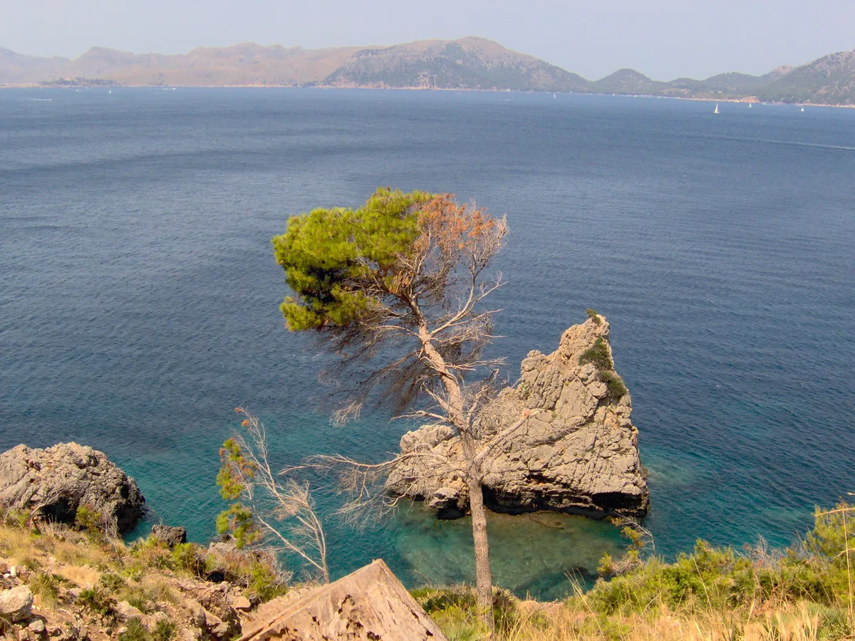 Plage de Sant Pere, Alcúdia, Balearic Islands, Espagne — 5