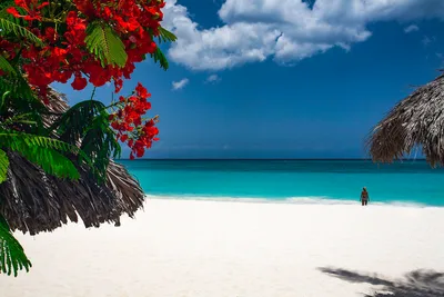 Druif Beach