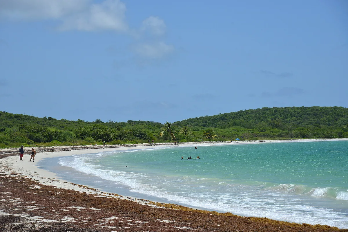 Plage de la Chiva, Isabel Segunda, Greater Antilles, Puerto Rico — 3