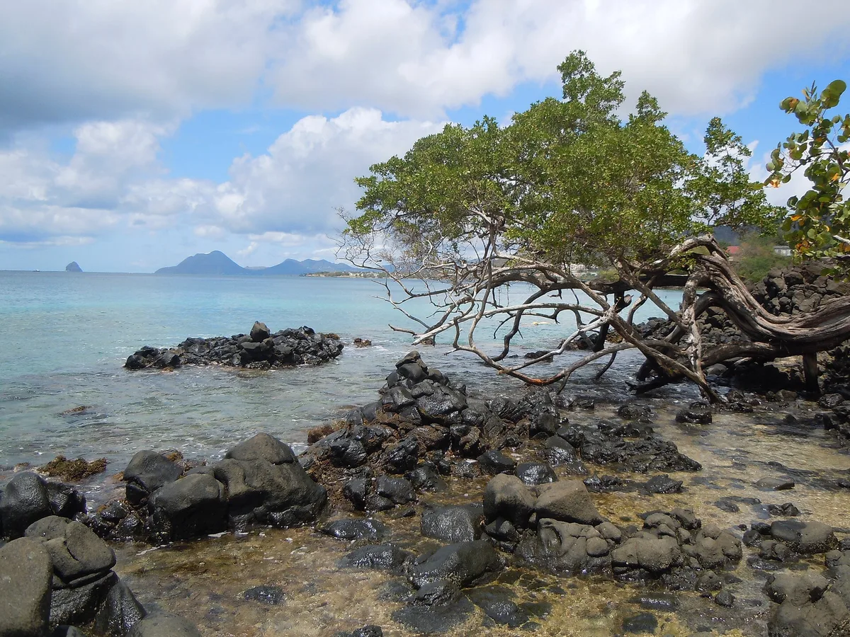 Anse Figuier, Rivière-Pilote, Martinique, France — 6