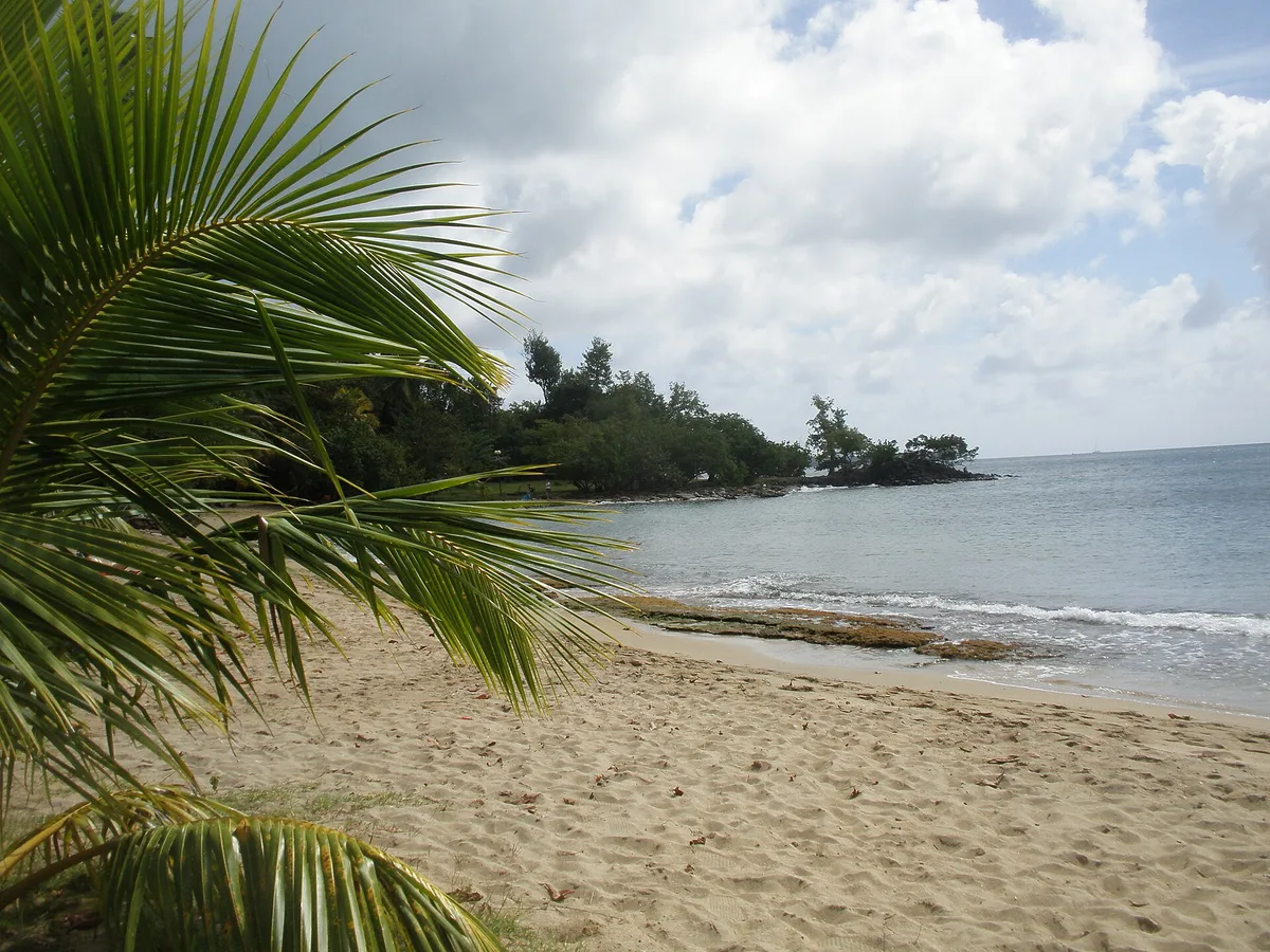 Anse Figuier, Rivière-Pilote, Martinique, France — 3