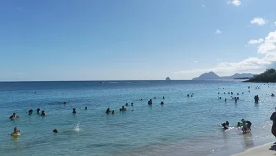 Anse Figuier