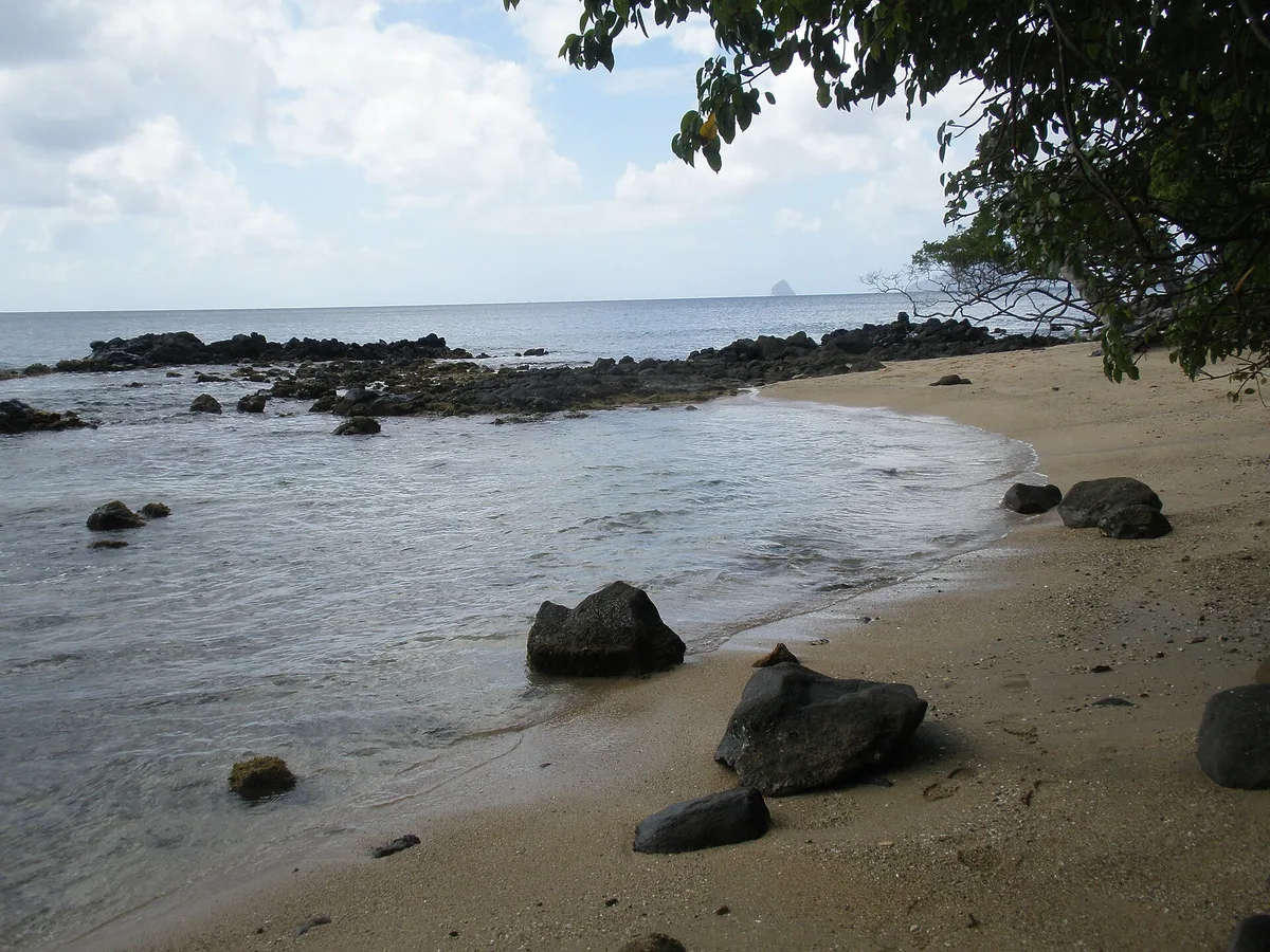 Anse Figuier, Rivière-Pilote, Martinique, France — 2