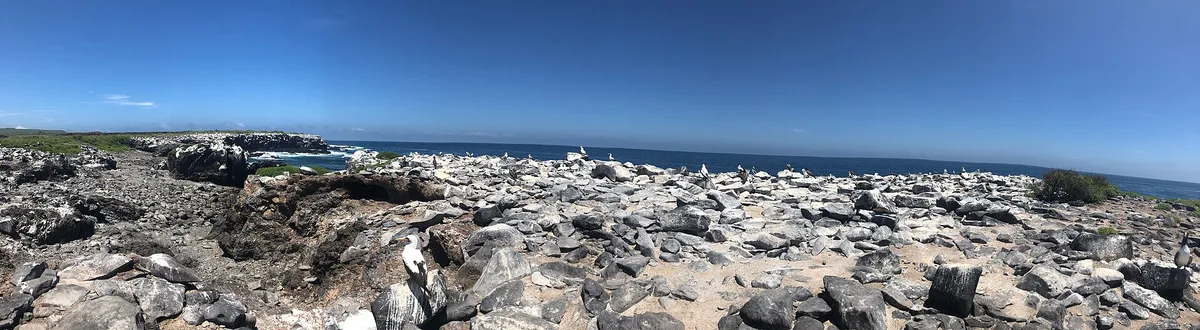Plage de Punta Suárez, Española, Galápagos, Équateur — 2