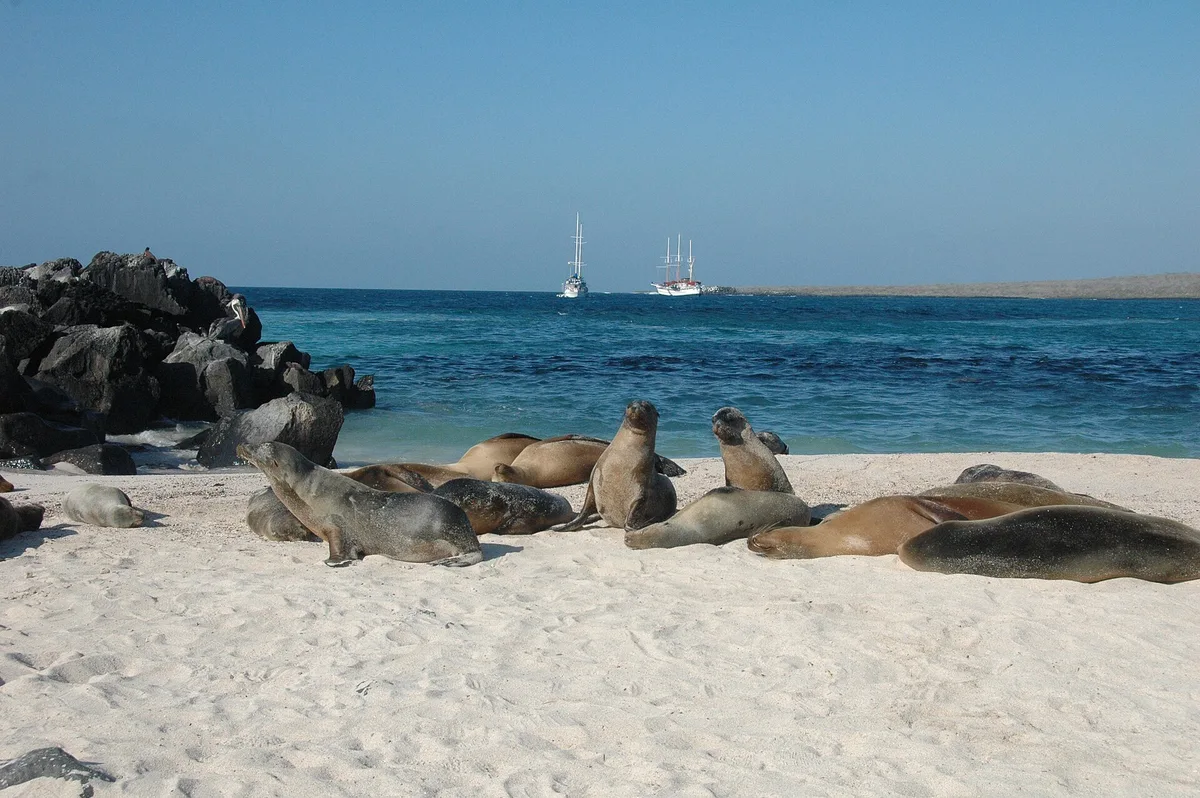 Plage de Punta Suárez, Española, Galápagos, Équateur — 4