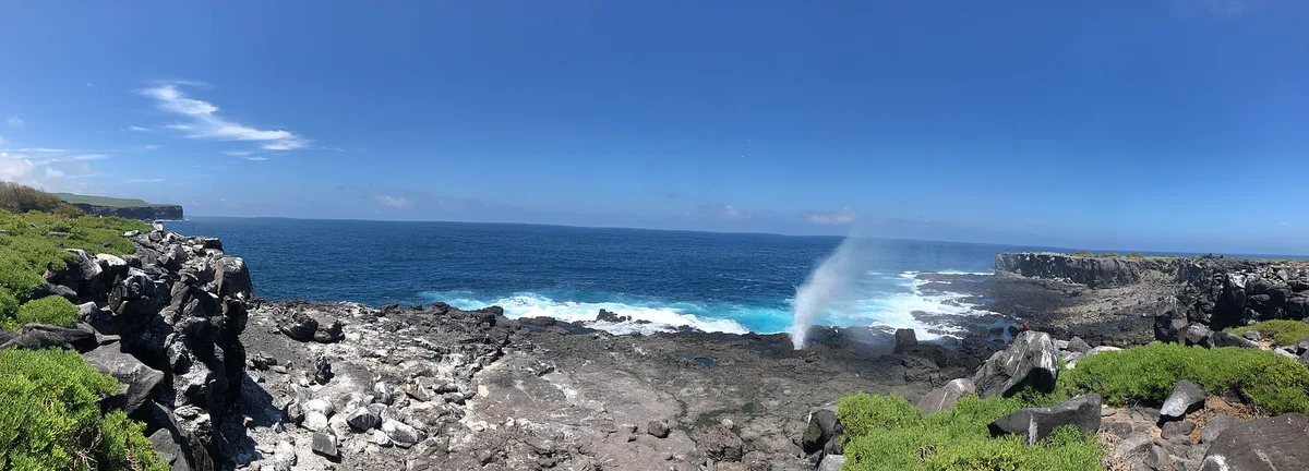 Plage de Punta Suárez, Española, Galápagos, Équateur — 5