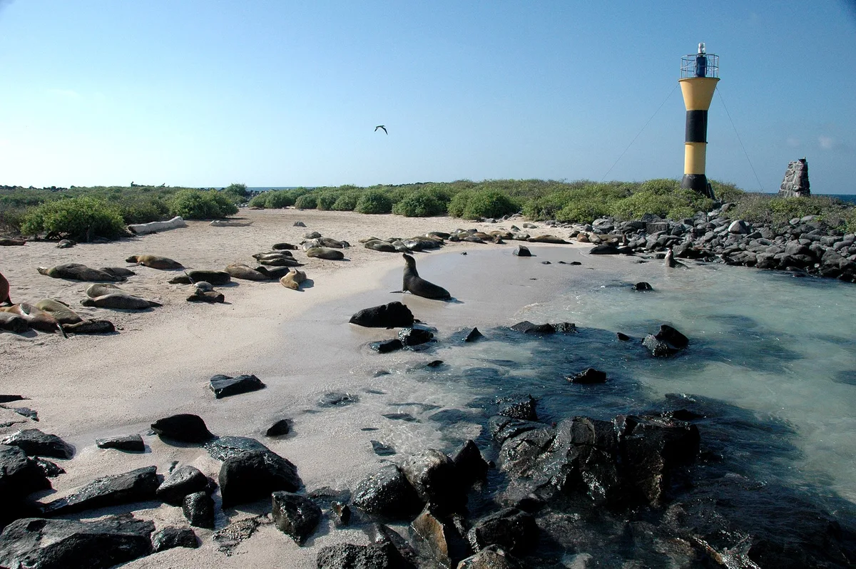 Plage de Punta Suárez, Española, Galápagos, Équateur