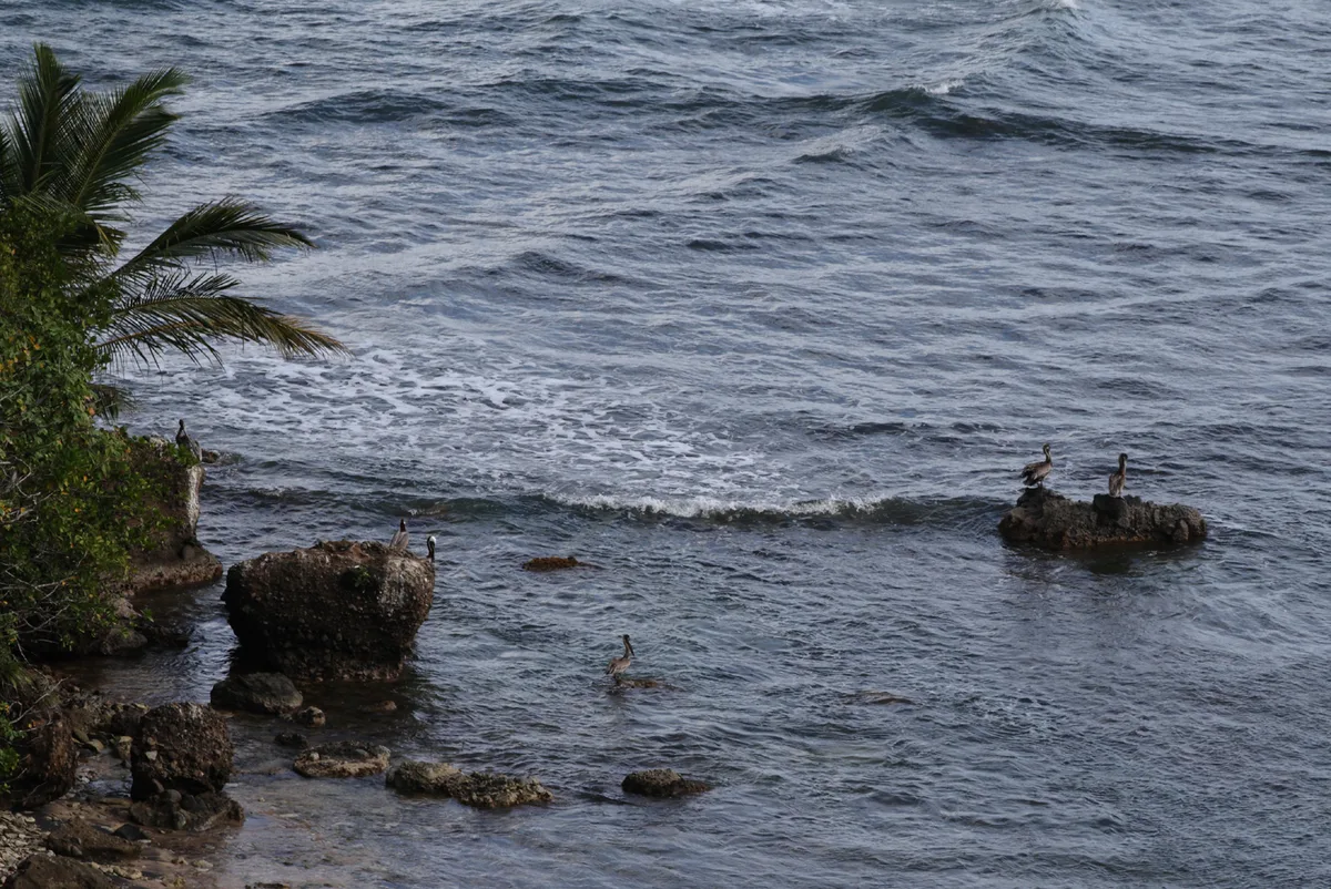 Calibishie Beach, Calibishie, Lesser Antilles, Dominica — 3