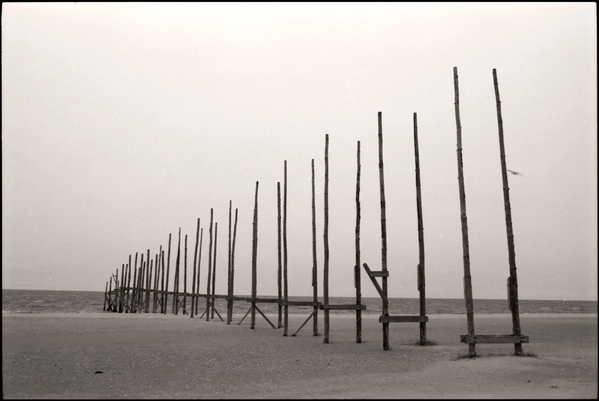 Waddenstrand De Cocksdorp, Texel, North Holland, Nederland — 4