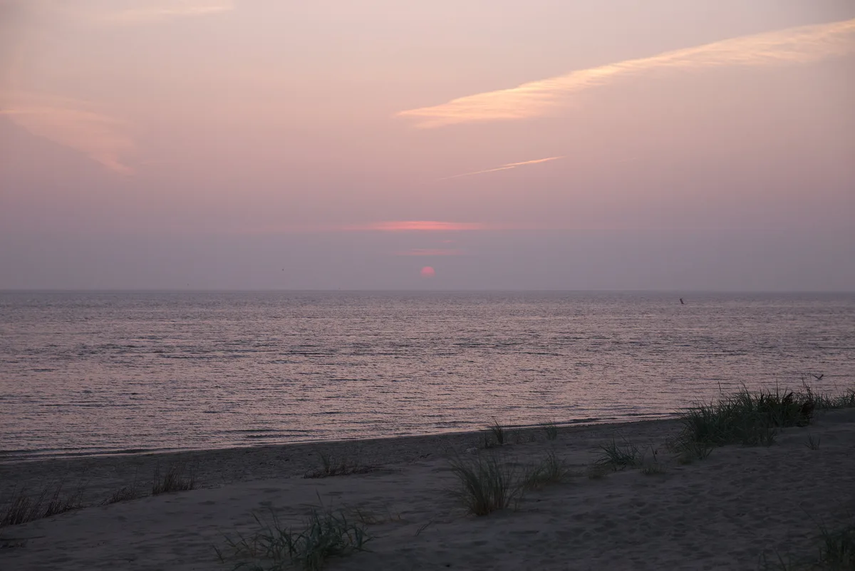 Waddenstrand De Cocksdorp, Texel, North Holland, Nederland — 5
