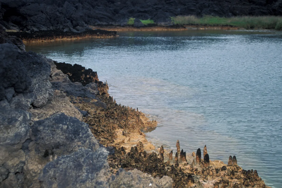 ʻĀhihi Beach, Kalawao, Hawaii, United States — 3
