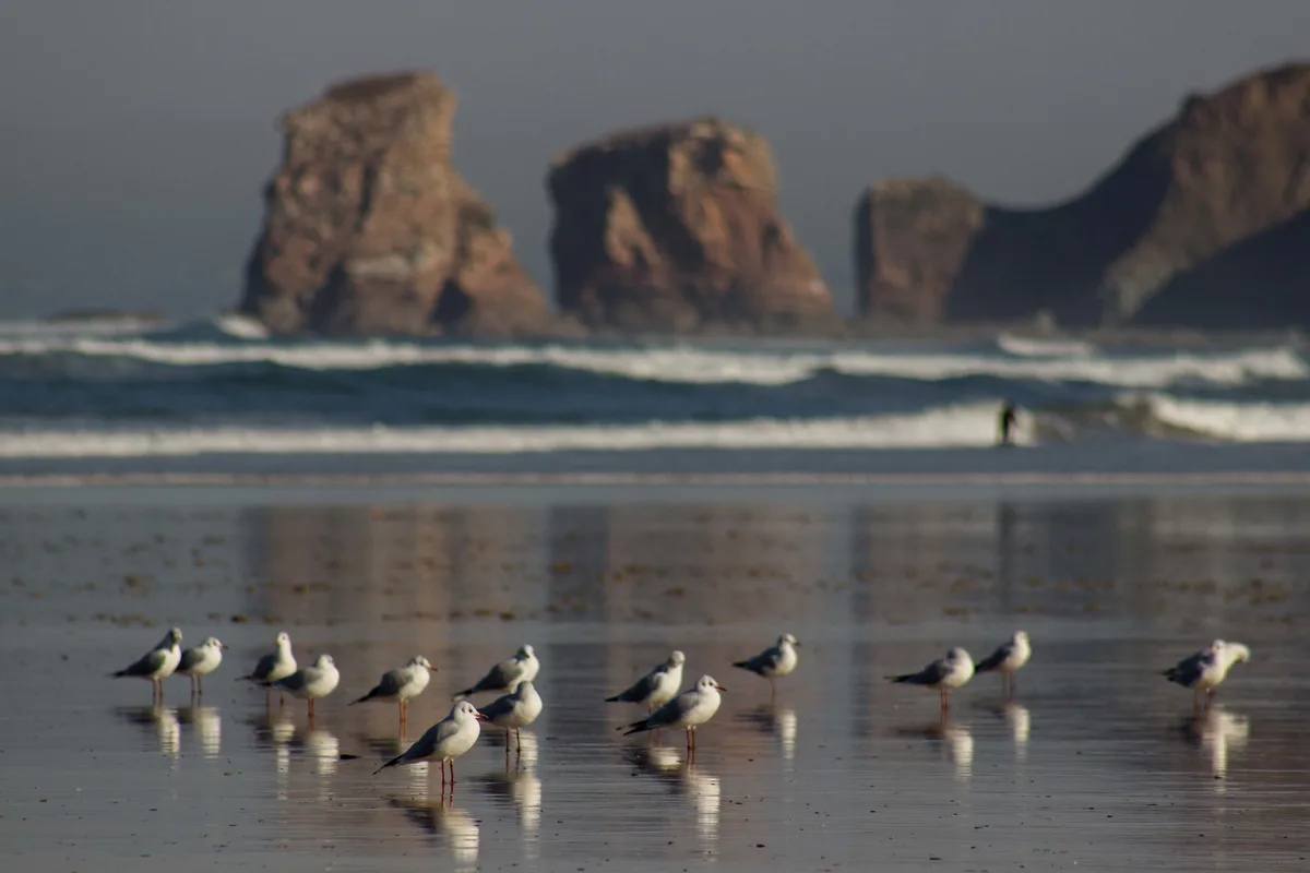 Hendaye-Strand, Hendaye, Nouvelle-Aquitaine, Frankreich — 2