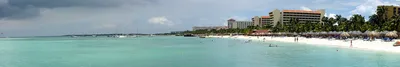 Palm Beach