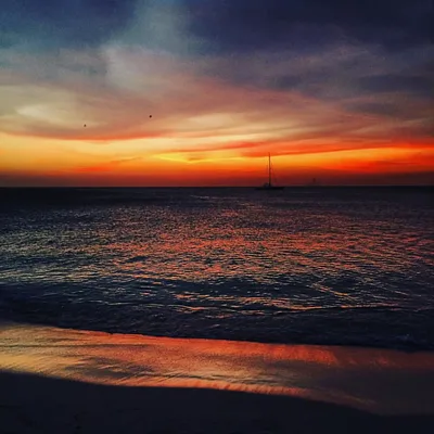 Palm Beach, Noord, Lesser Antilles, Aruba — 4