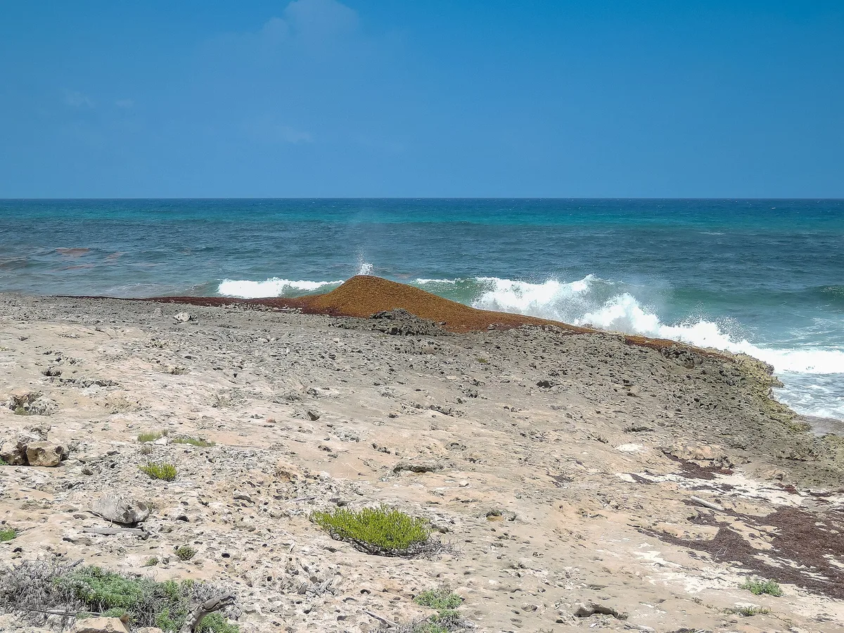 Playa Punta Chiqueros, San Miguel de Cozumel, Yucatan Islands, México — 4