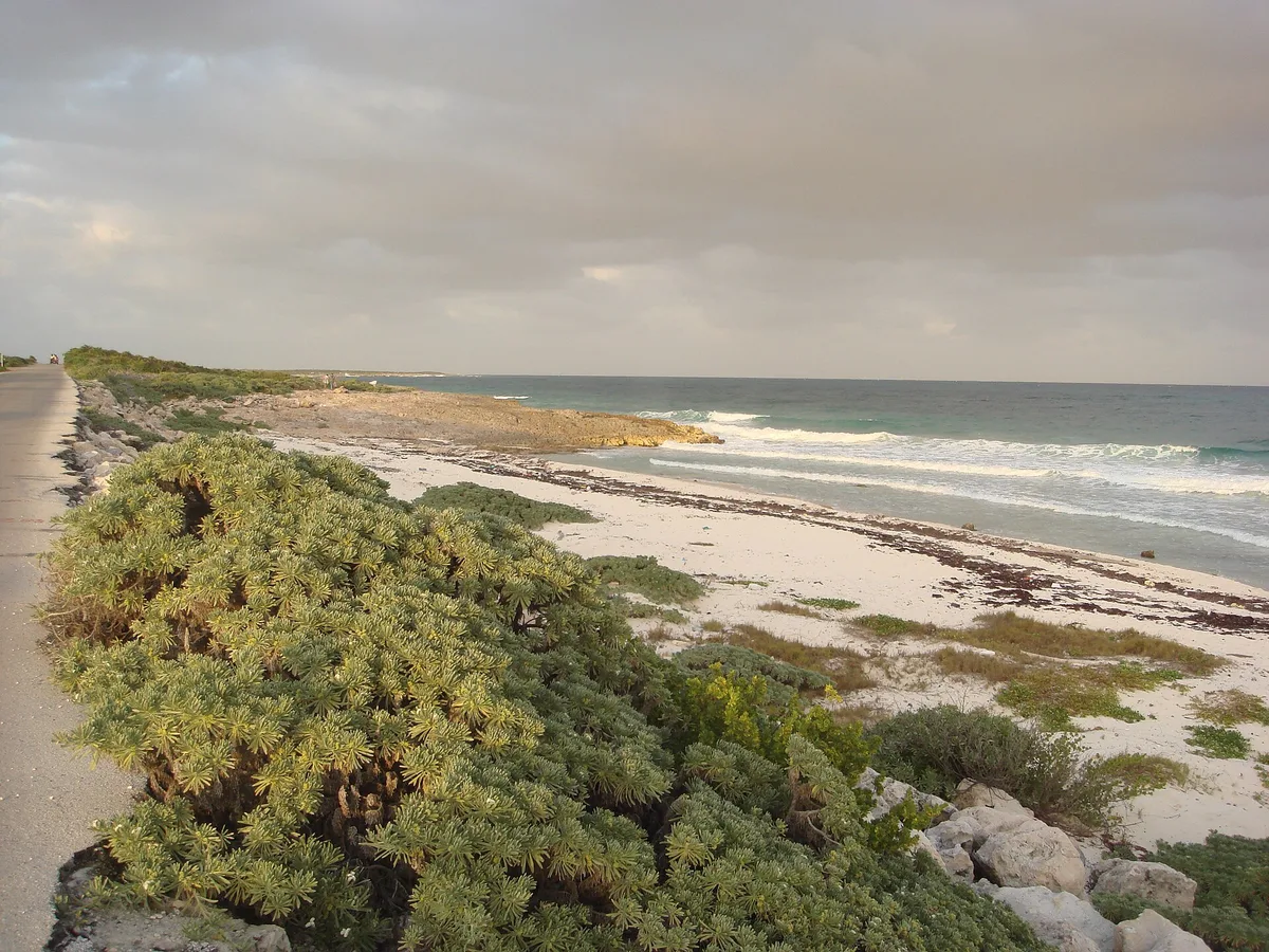 Playa Punta Chiqueros, San Miguel de Cozumel, Yucatan Islands, México — 5