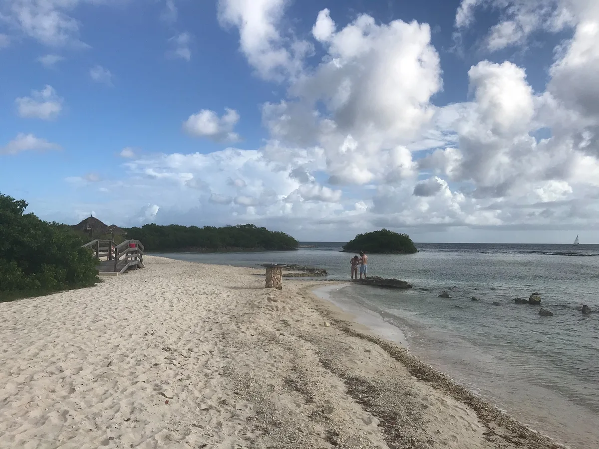 Mangel Halto-Strand, Savaneta, Lesser Antilles, Aruba — 4