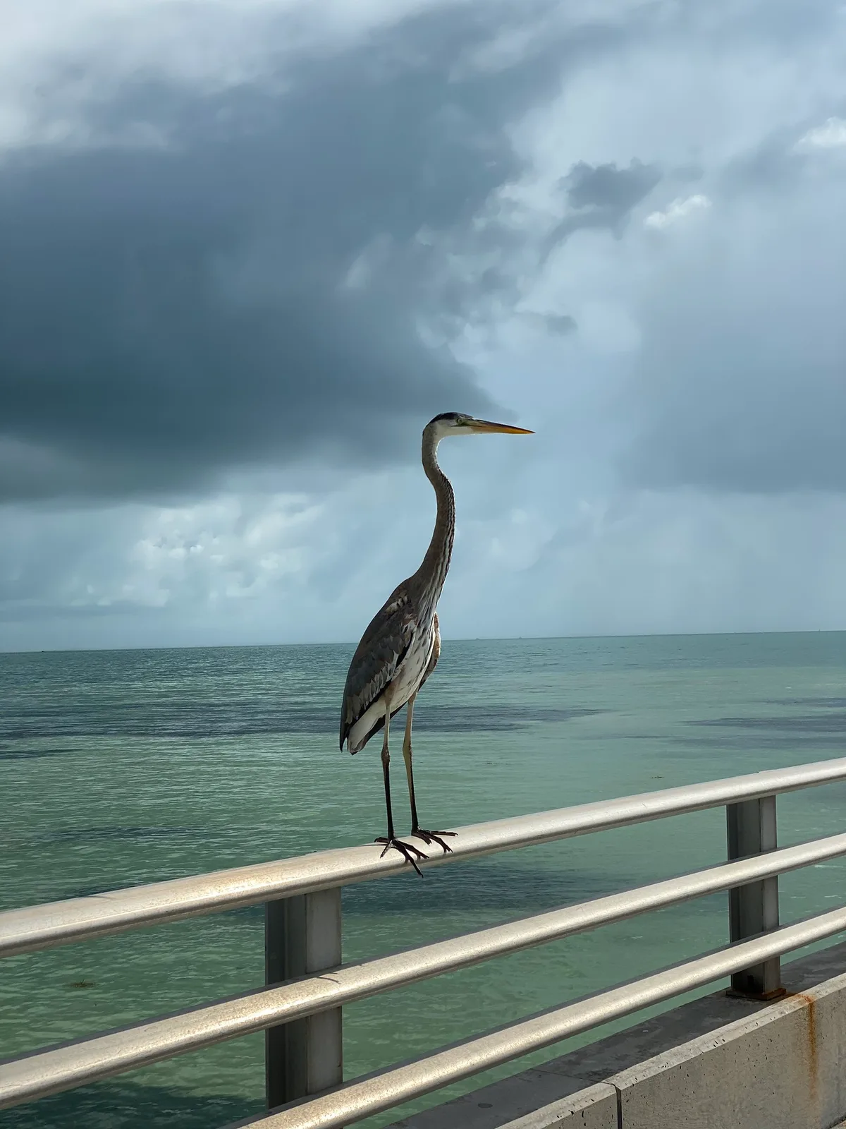 Plage de Clarence Ave, Key West, Florida Keys, États-Unis — 5
