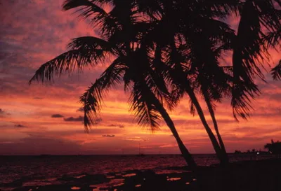 Plage de Clarence Ave