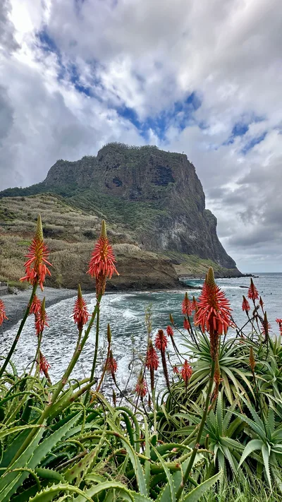 Plage de Porto da Cruz, Machico, Madeira Archipelago, Portugal — 3