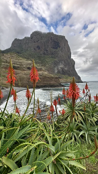 Plage de Porto da Cruz, Machico, Madeira Archipelago, Portugal — 4