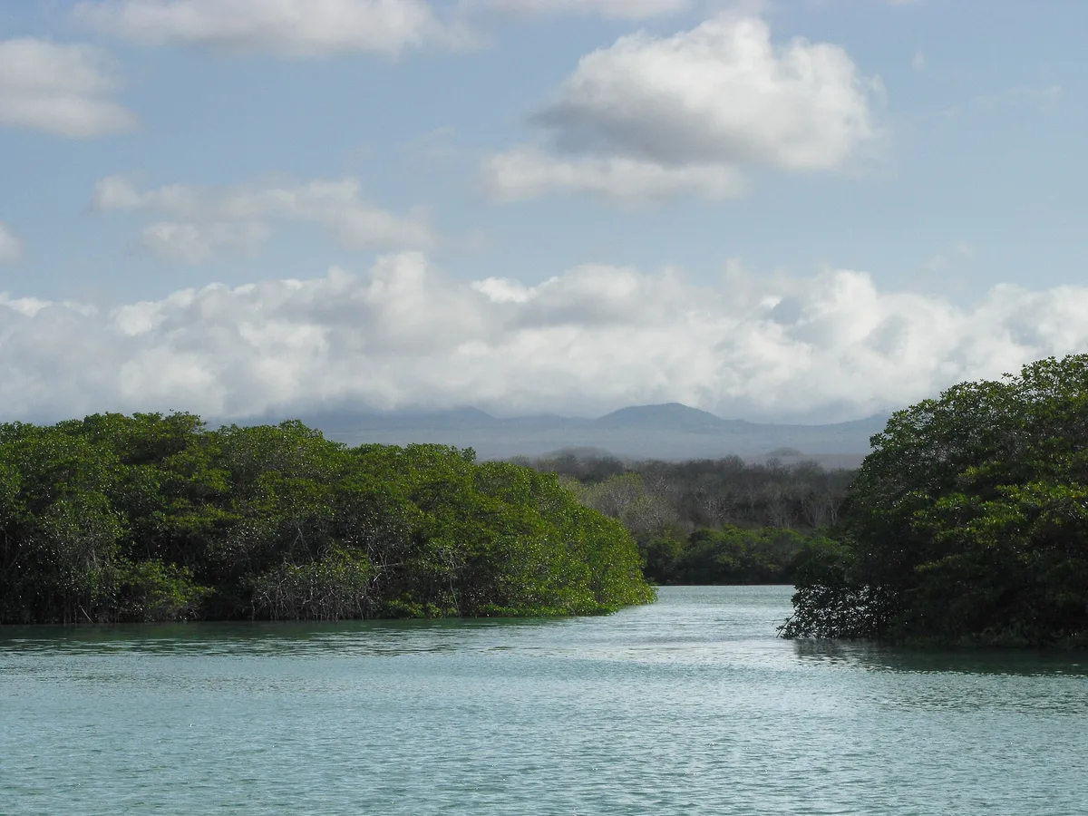 Plage de la Tortuga Negra, Santa Cruz (north coast), Galápagos, Équateur — 6