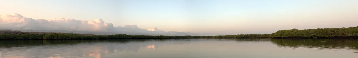Plage de la Tortuga Negra, Santa Cruz (north coast), Galápagos, Équateur — 4