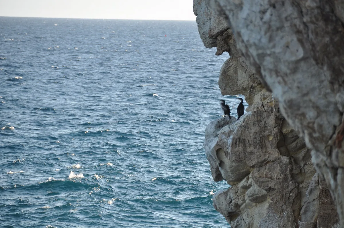 Cala Crancs, Salou, Catalonia, España — 4