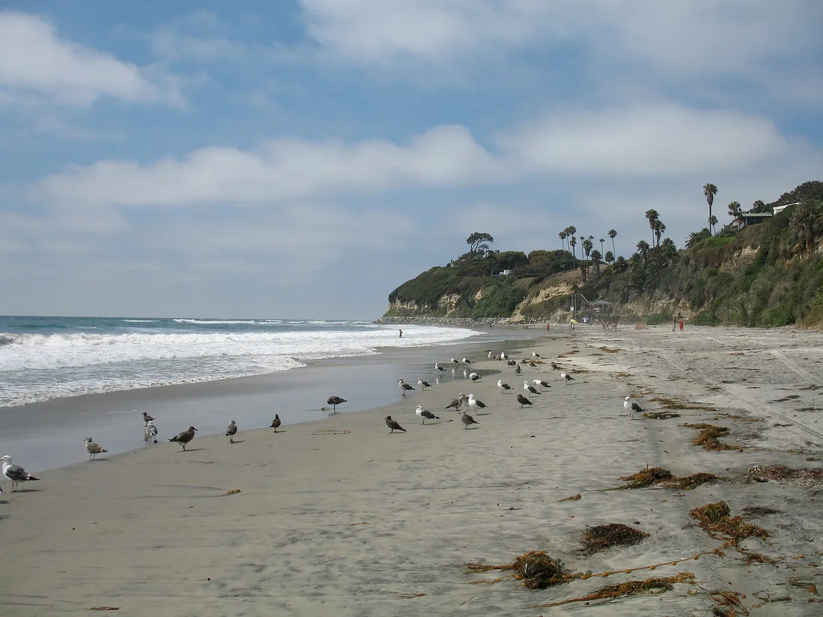 Swami's Beach, Encinitas, California Coast, États-Unis — 3