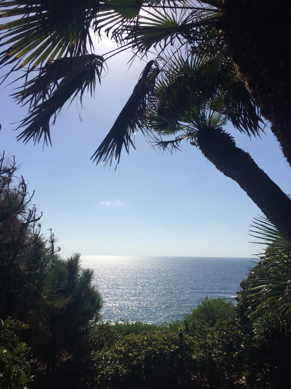 Swami's Beach, Encinitas, California Coast, États-Unis — 2