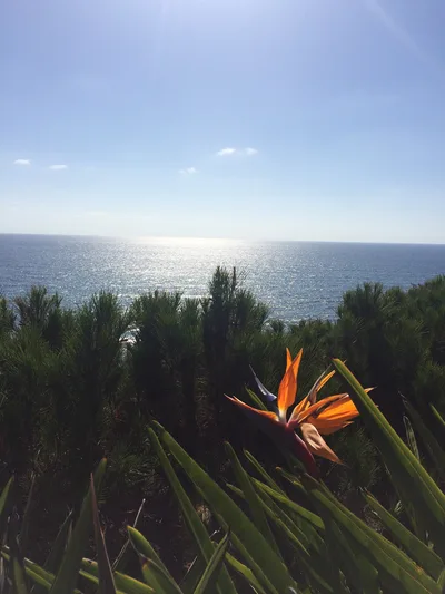 Swami's Beach